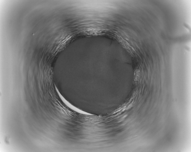 X0000093411202200711020948