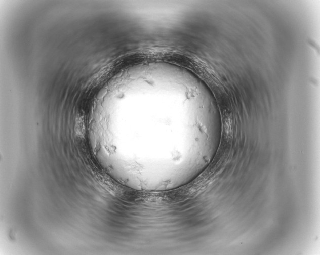 X0000093411204200711020948