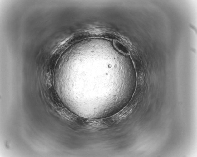 X0000093411205200711020948