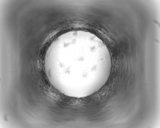 X0000093411207200711020948