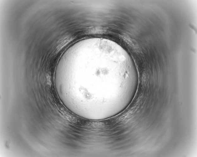 X0000093411209200711020948