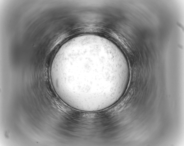 X0000093411211200711020948