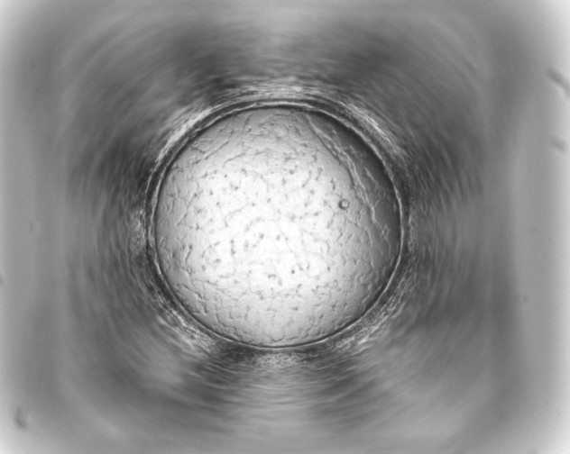 X0000093411212200711020948