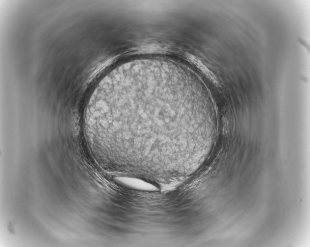 X0000093411213200711020948