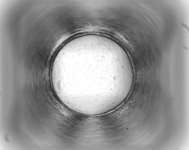 X0000093411216200711020948