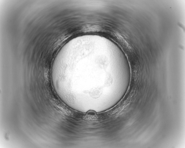 X0000093411217200711020948