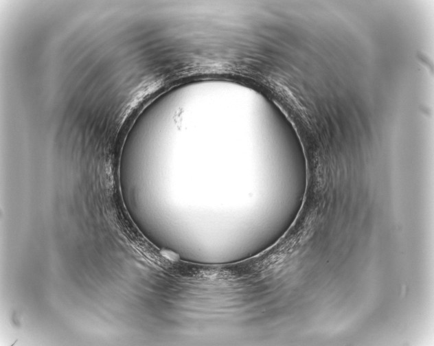 X0000093411218200711020948