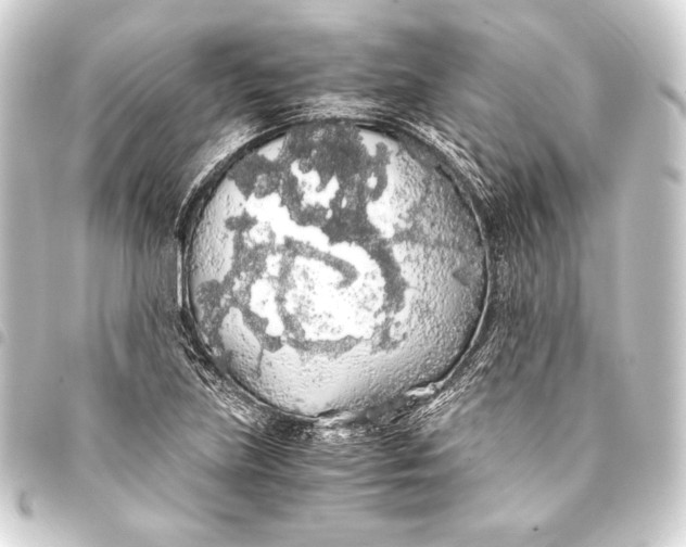 X0000093411219200711020948