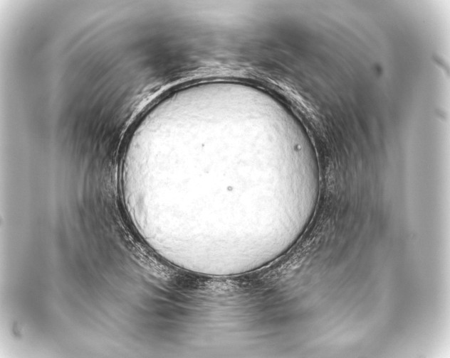 X0000093411220200711020948