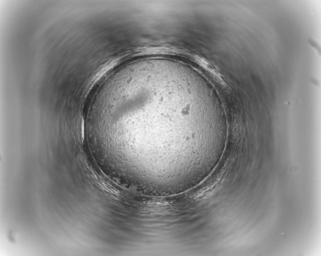 X0000093411221200711020948