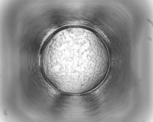 X0000093411224200711020948