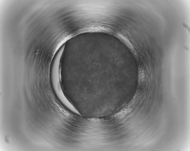 X0000093411226200711020948