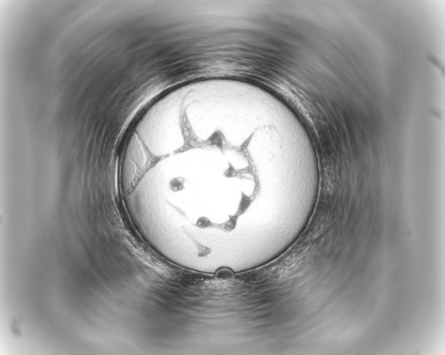 X0000093411227200711020948