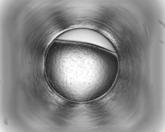 X0000093411228200711020948