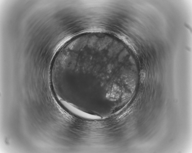 X0000093411229200711020948