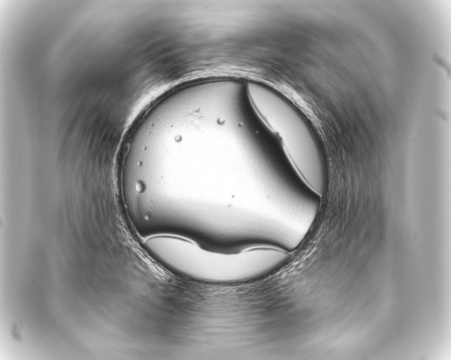 X0000093411230200711020948