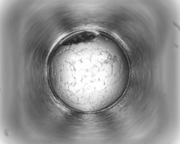 X0000093411232200711020948