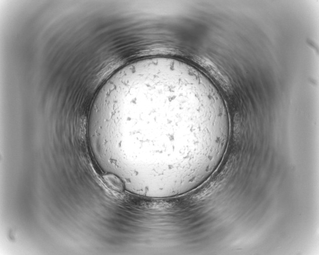 X0000093411233200711020948