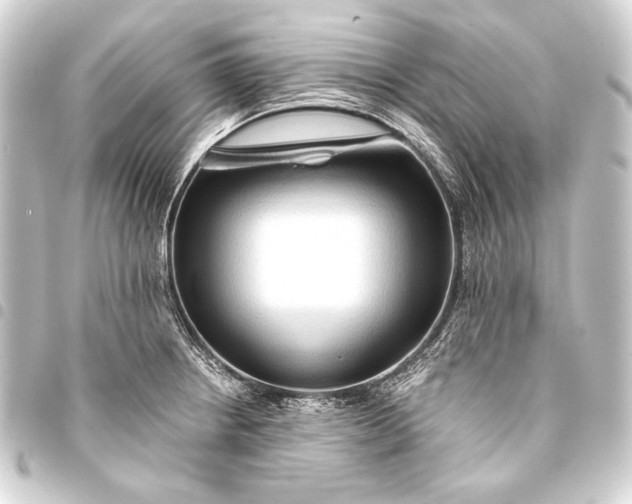 X0000093411234200711020948