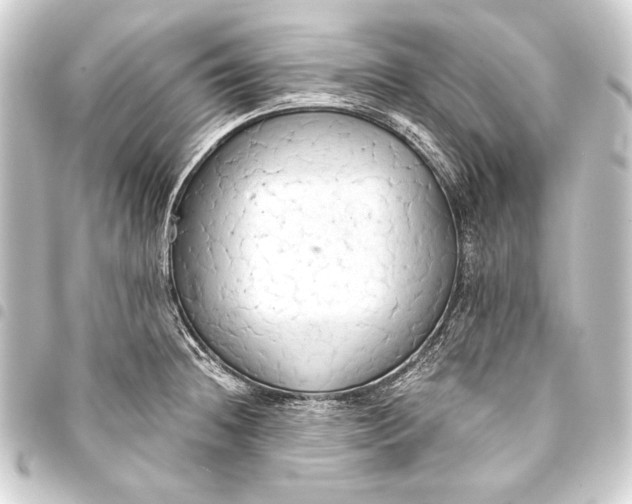 X0000093411236200711020948