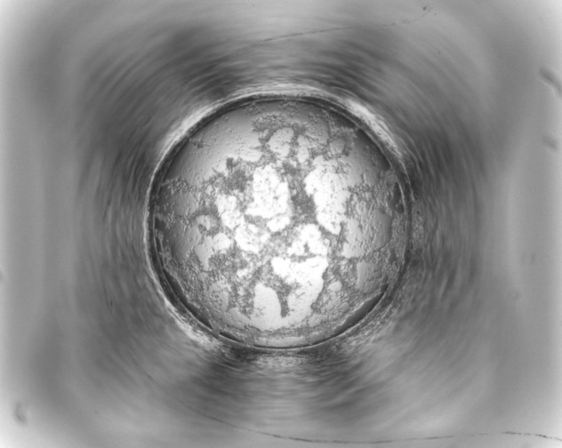 X0000093411237200711020948