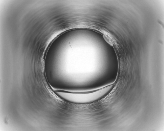 X0000093411238200711020948