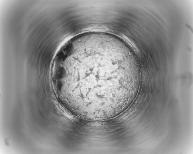 X0000093411240200711020948