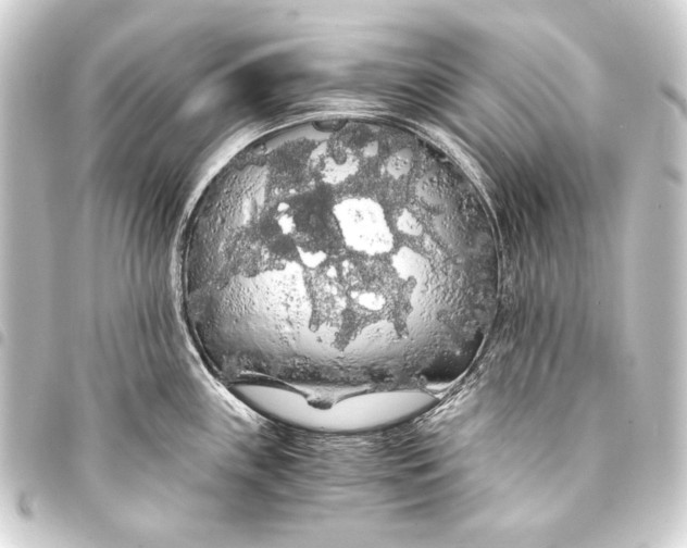 X0000093411243200711020948