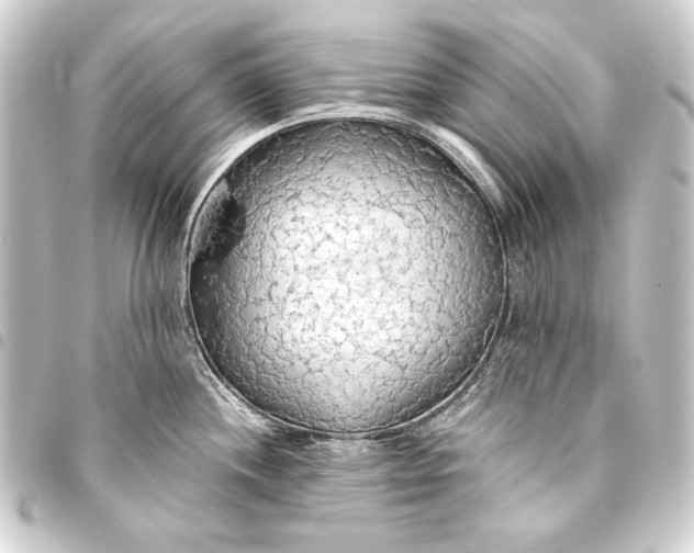 X0000093411244200711020948