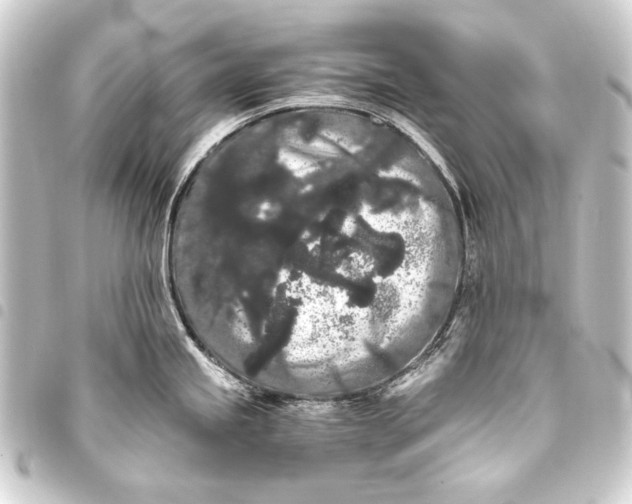 X0000093411245200711020948