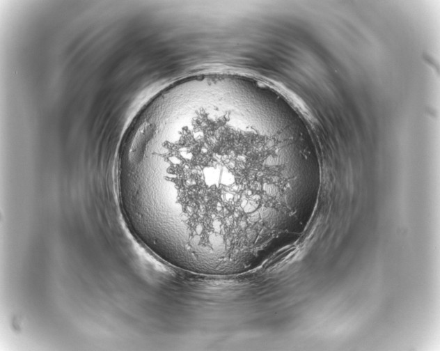 X0000093411247200711020948