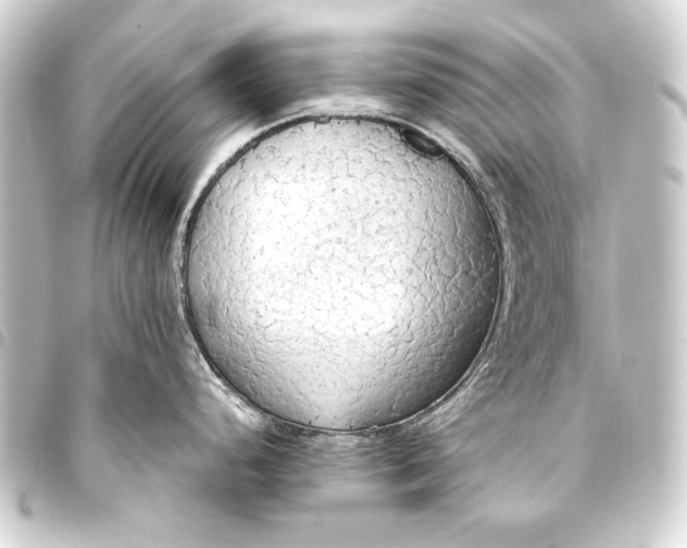 X0000093411248200711020948