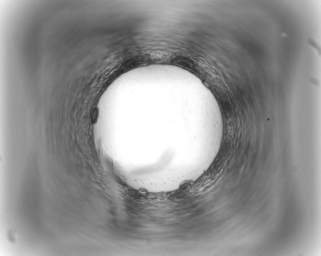 X0000093411249200711020948