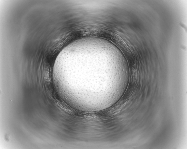 X0000093411250200711020948