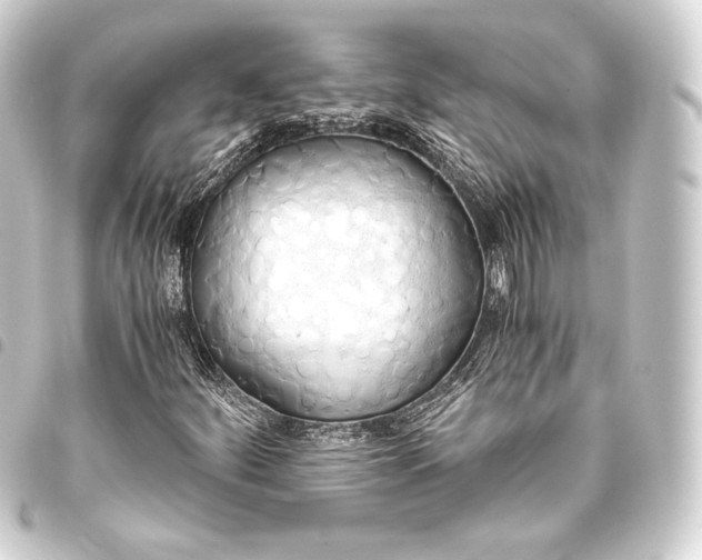 X0000093411252200711020948