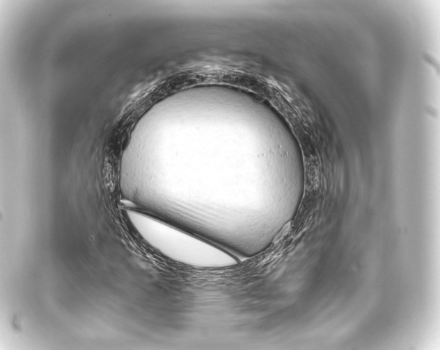 X0000093411253200711020948