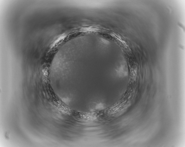 X0000093411254200711020948