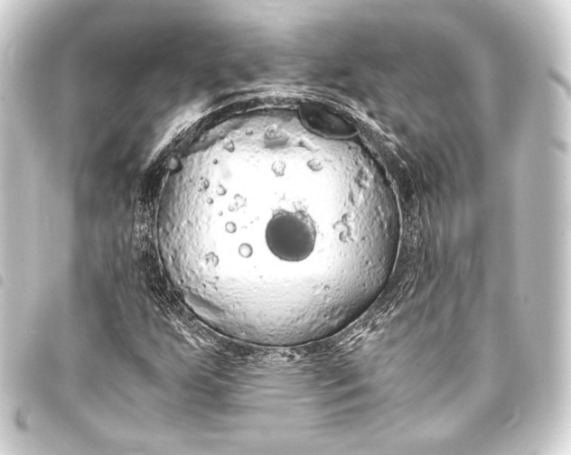 X0000093411255200711020948