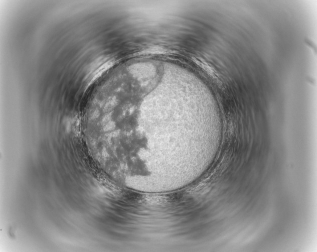 X0000093411258200711020947