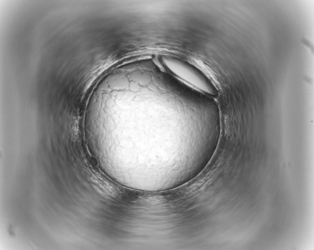 X0000093411260200711020947