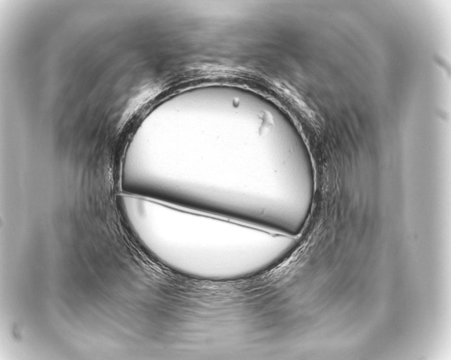 X0000093411261200711020947