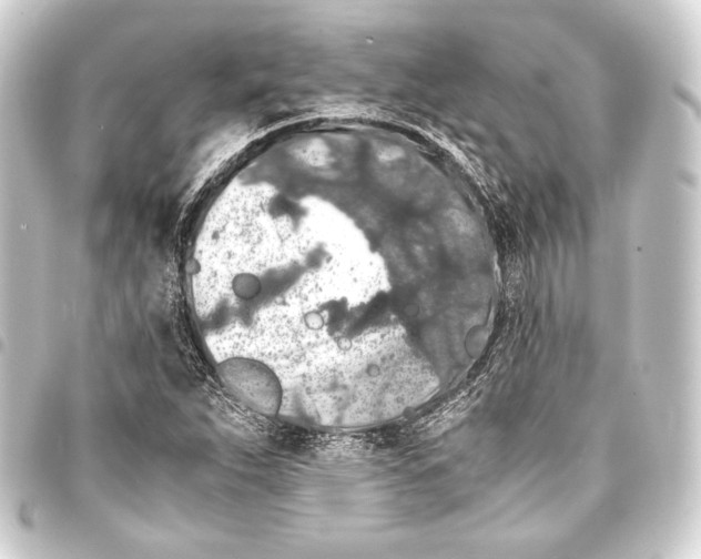 X0000093411263200711020947