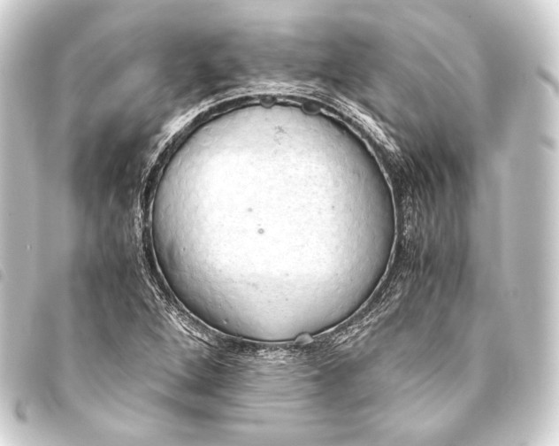 X0000093411264200711020947