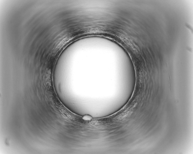 X0000093411265200711020947