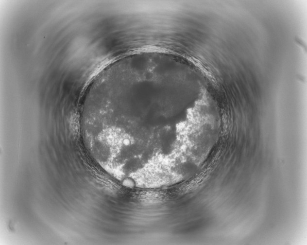 X0000093411266200711020947