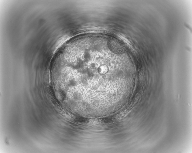 X0000093411267200711020947