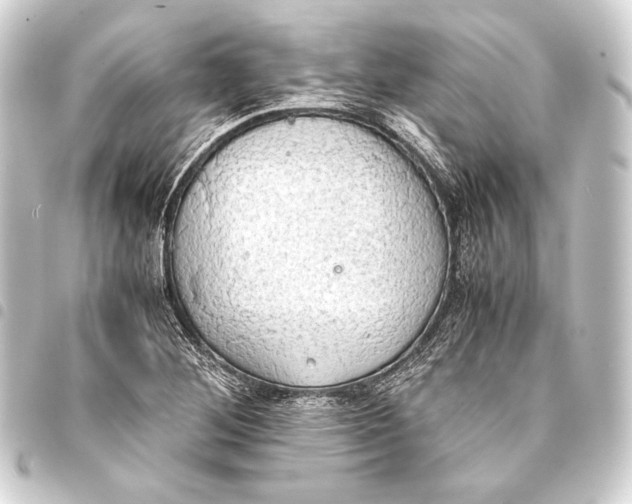 X0000093411268200711020947