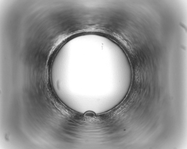 X0000093411270200711020947