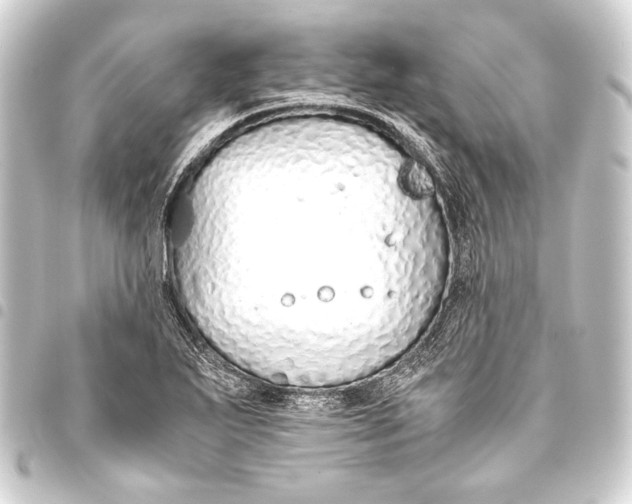 X0000093411271200711020947