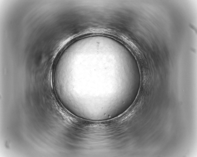 X0000093411272200711020947